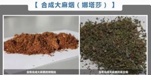 毒品知識—新型毒品